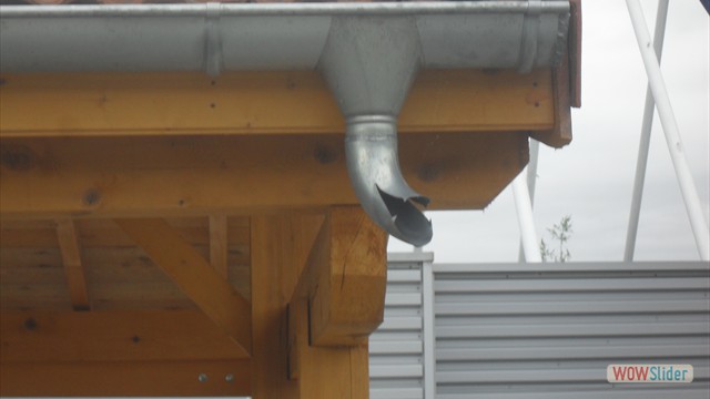 SDC12039