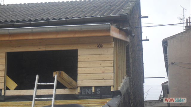 SDC11325