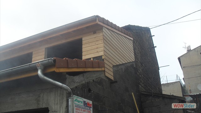 SDC11335