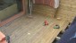 DSCF0059